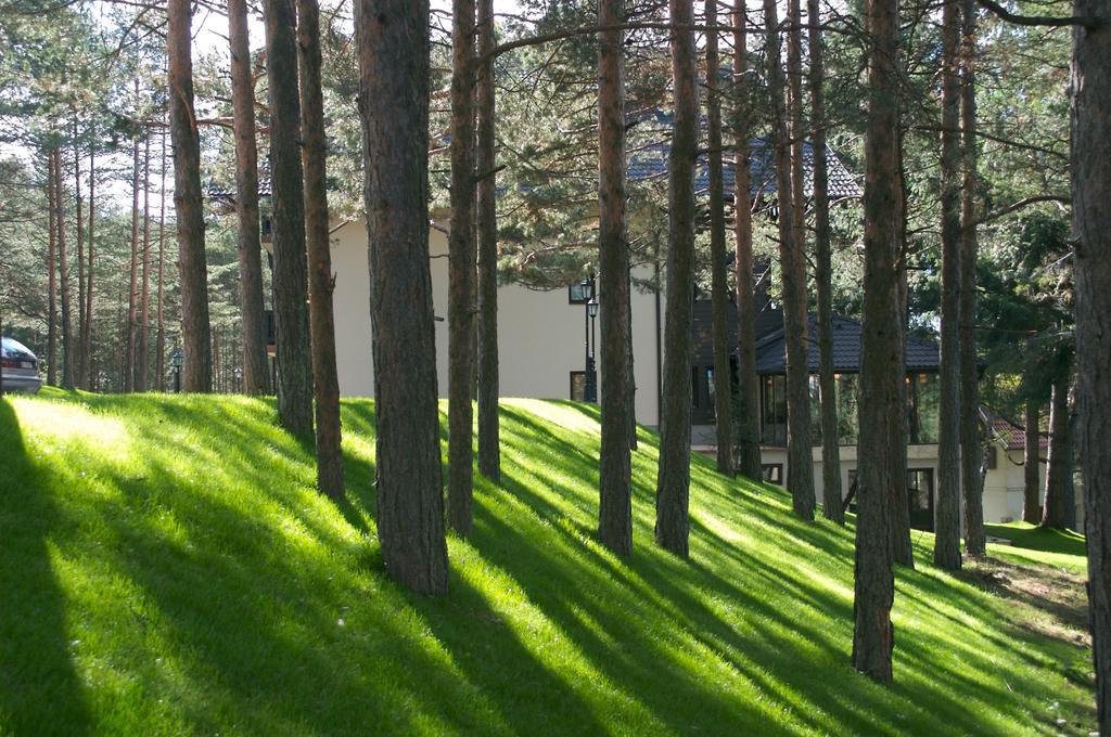 Vila Pina Zlatibor Exterior photo
